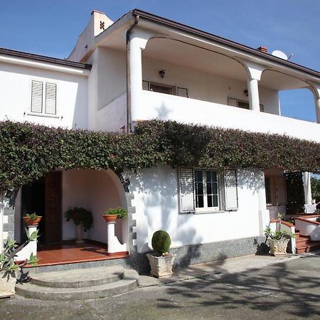 Appartamento Terry - Casa Vacanze Капо-Ватикано Экстерьер фото